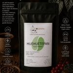 Huehuetepan