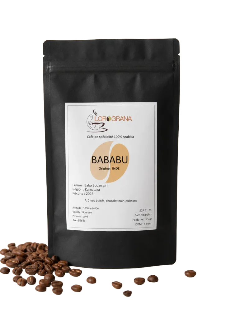 Le café Bababu est un café indien de spécialité, issu de la variété Bourbon. Découvrez son terroir, sa méthode de traitement et son profil aromatique aux notes de chocolat noir et boisées.