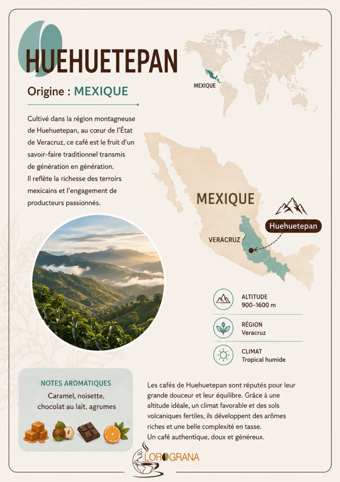 Le Huehuetepan est un café Arabica du Mexique qui exprime toute la richesse de son terroir. Ses notes de caramel, de noisette, de chocolat et de fruits rouges offrent une tasse gourmande et équilibrée.