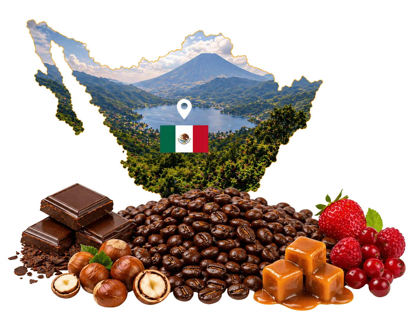Découvrez nos cafés de spécialité, sélectionnés avec soin et fraîchement torréfiés artisanalement pour révéler toute la richesse de leurs arômes.