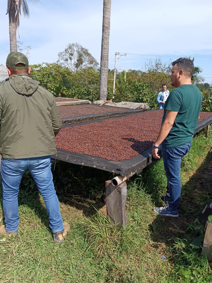 Carlos Cadena met son savoir-faire au service d’un café de spécialité du Mexique, cultivé dans le respect de son terroir et de la qualité des grains. Une approche qui révèle toute la richesse aromatique du café mexicain.