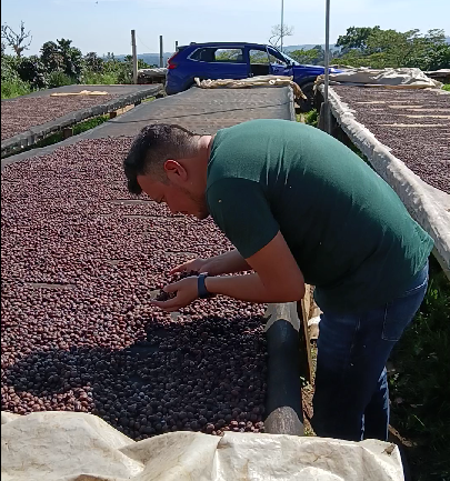 Carlos Cadena cultive des cafés de spécialité à la Finca Huehuetepan, dans la région de Veracruz au Mexique. Son travail met en valeur le terroir mexicain et la qualité de cafés reconnus pour leur richesse aromatique.
